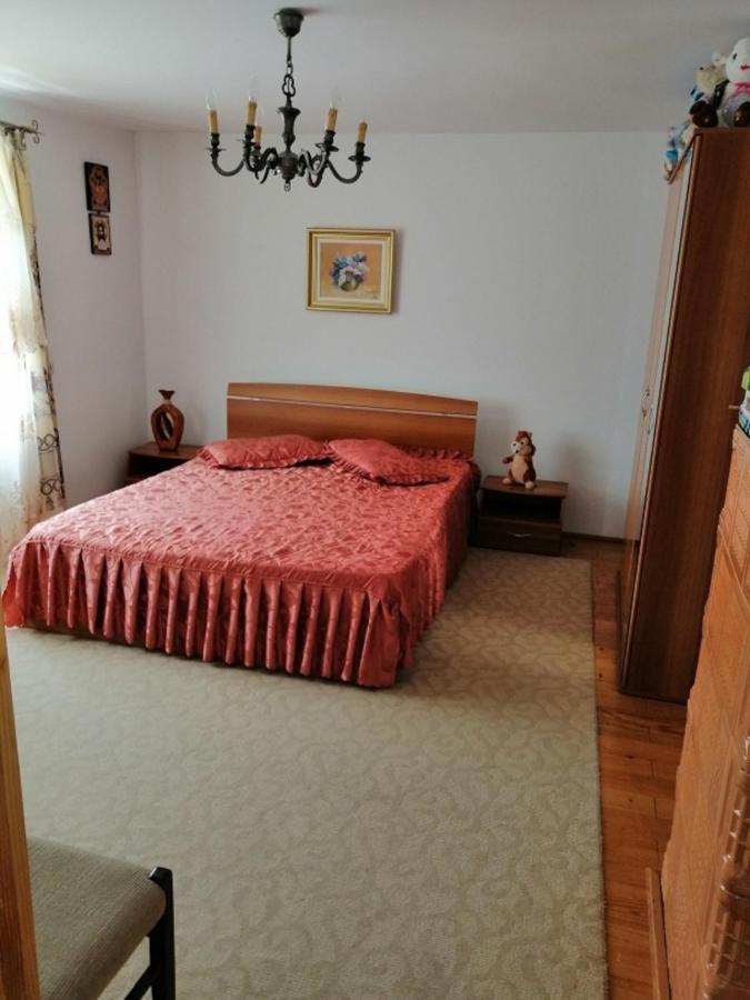 Vila Casa Ilea -Agapia Exteriér fotografie