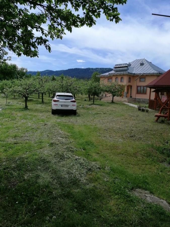Vila Casa Ilea -Agapia Exteriér fotografie