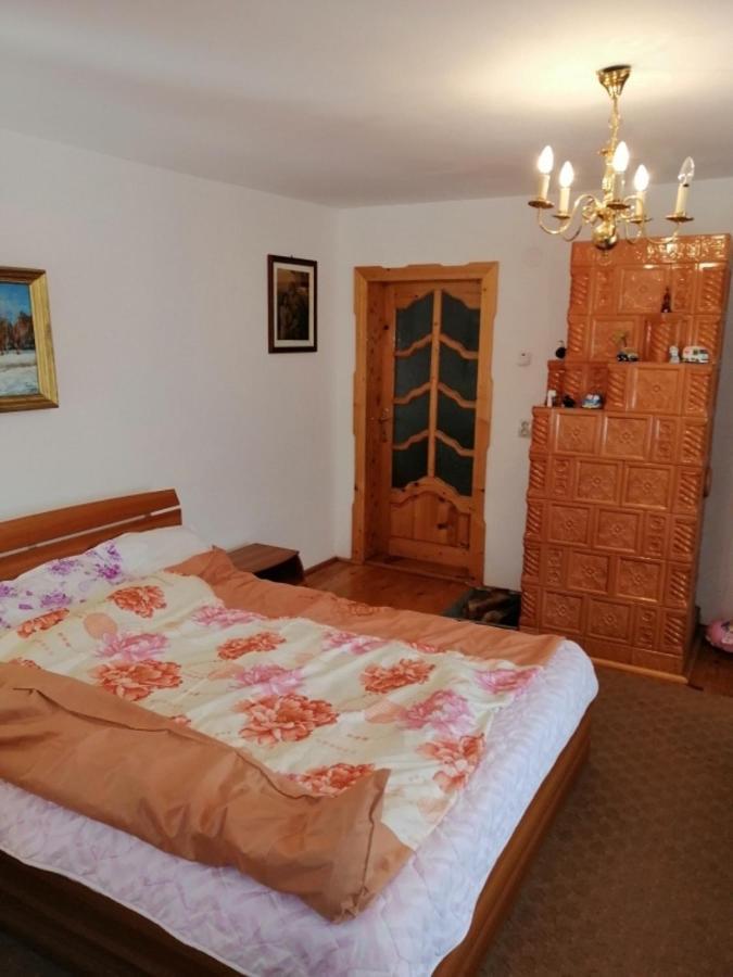 Vila Casa Ilea -Agapia Exteriér fotografie