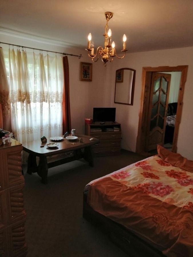 Vila Casa Ilea -Agapia Exteriér fotografie