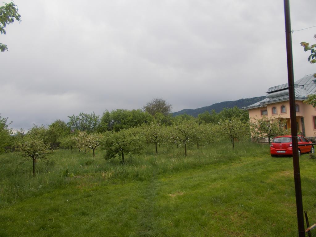 Vila Casa Ilea -Agapia Exteriér fotografie